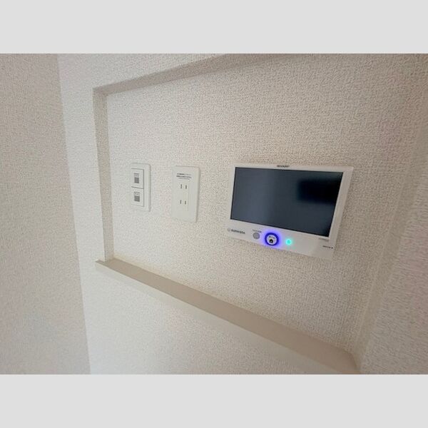 その他 (太陽光モニター)