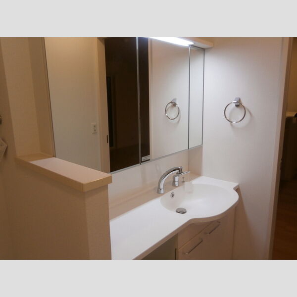 洗面所 (洗髪洗面化粧台)