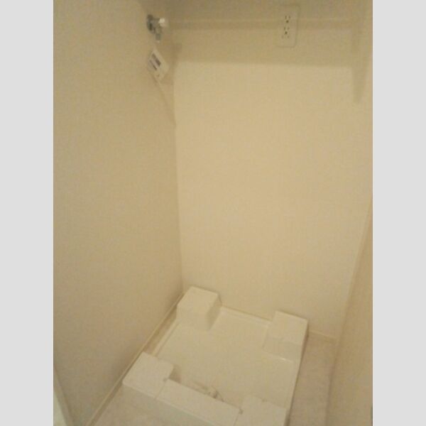 その他 (室内洗濯機置場)