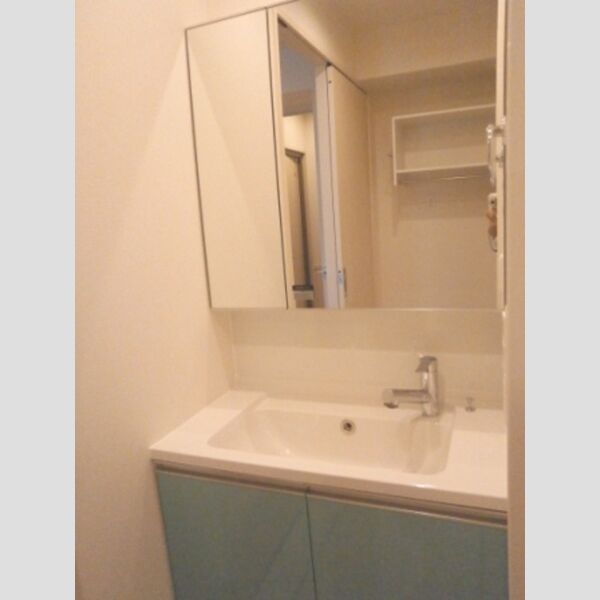 洗面所 (洗髪洗面化粧台)