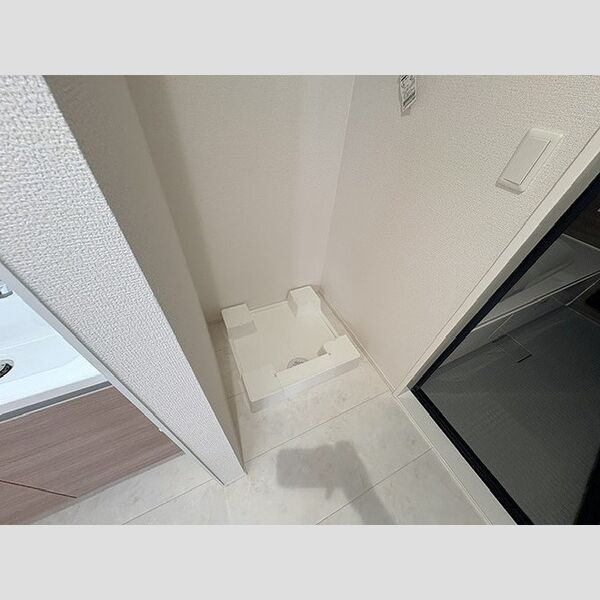 洗面所 (室内洗濯機置き場)