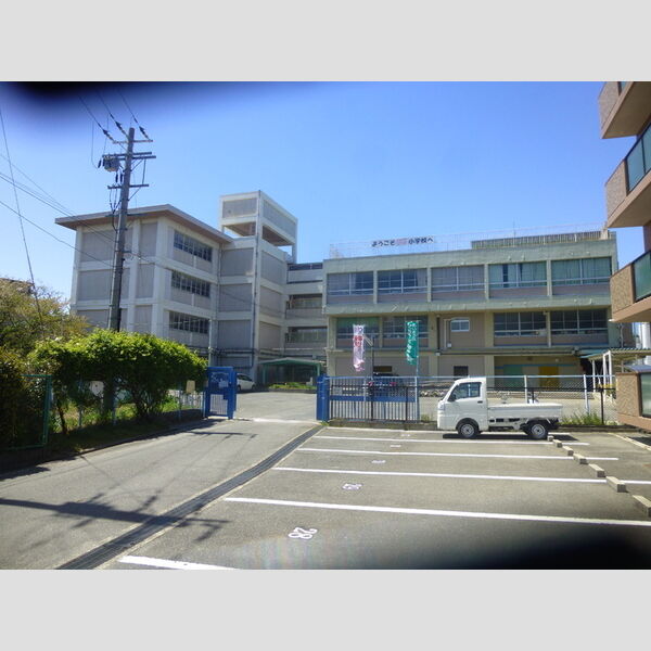 現地周辺 (寝屋川市立桜小学校)