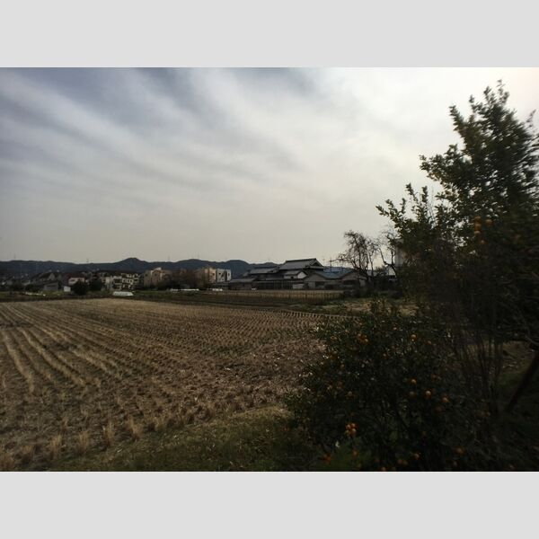 現地周辺 (眺望)