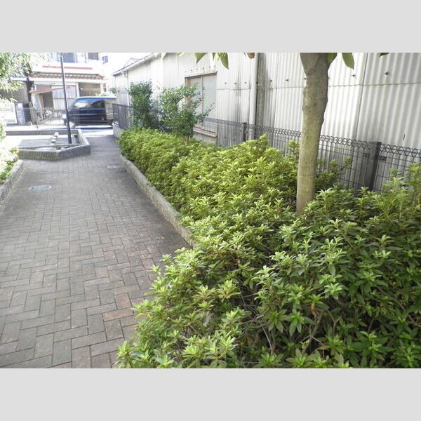 現地周辺 (植栽)