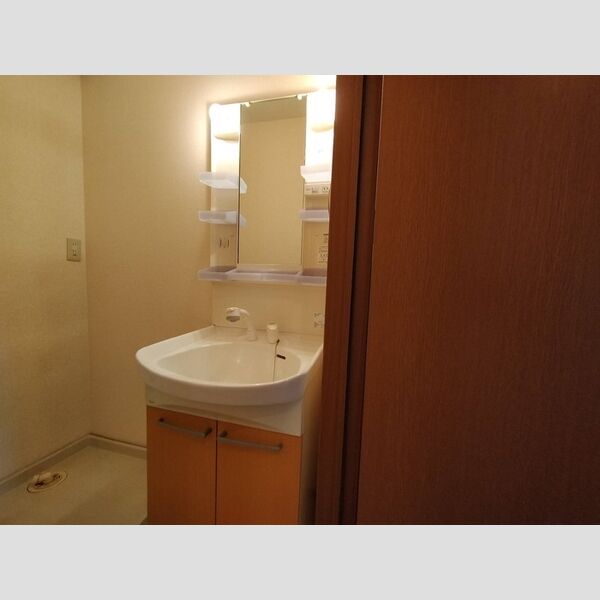 洗面所 (洗髪洗面化粧台)