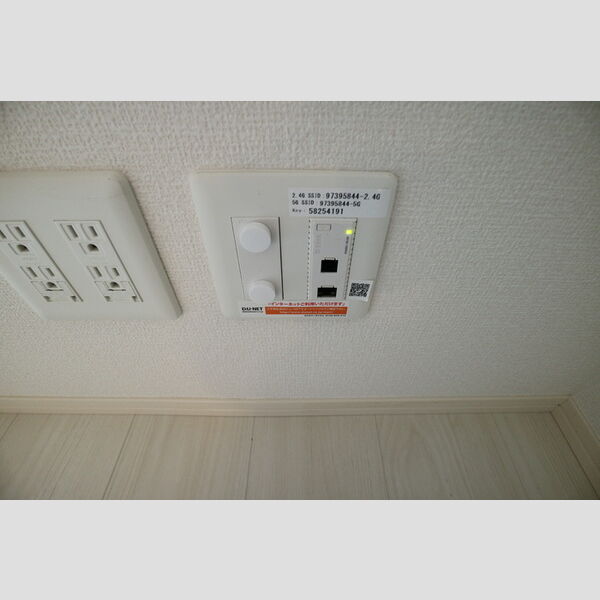 その他 (ネット)