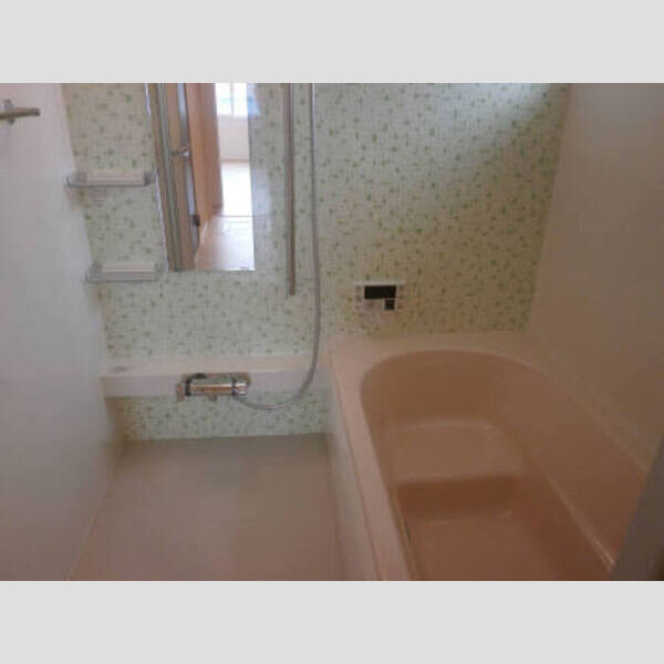 バス (リンガ　フランカ2021坪タイプ浴室写真)