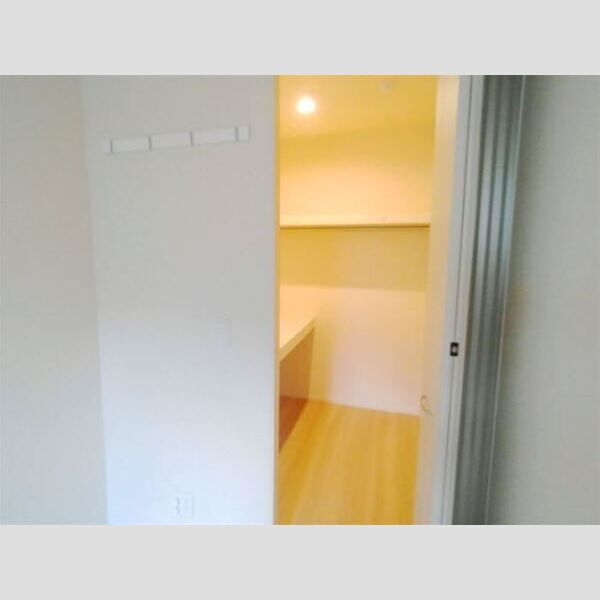 収納 (ウォークインクローゼット)