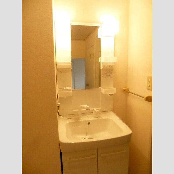 洗面所 (洗髪洗面化粧台)