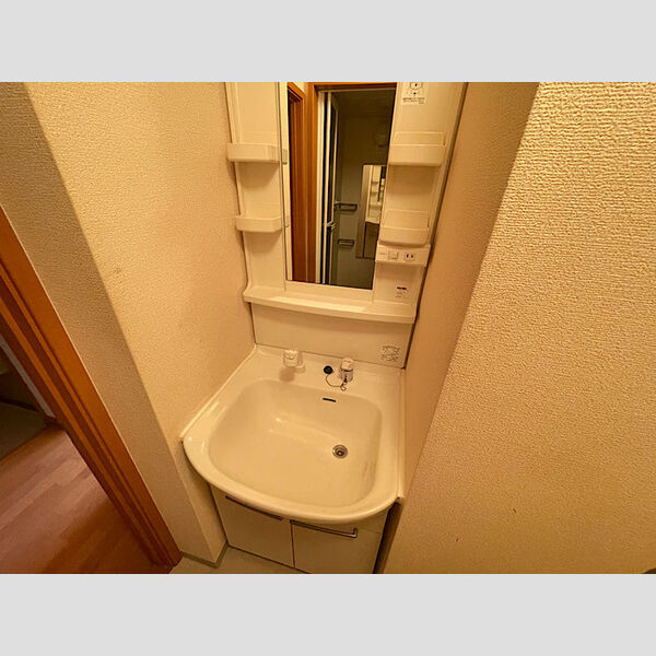 洗面所 (洗面所)