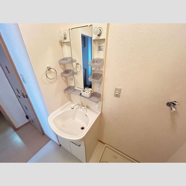 洗面所 (洗髪洗面化粧台)
