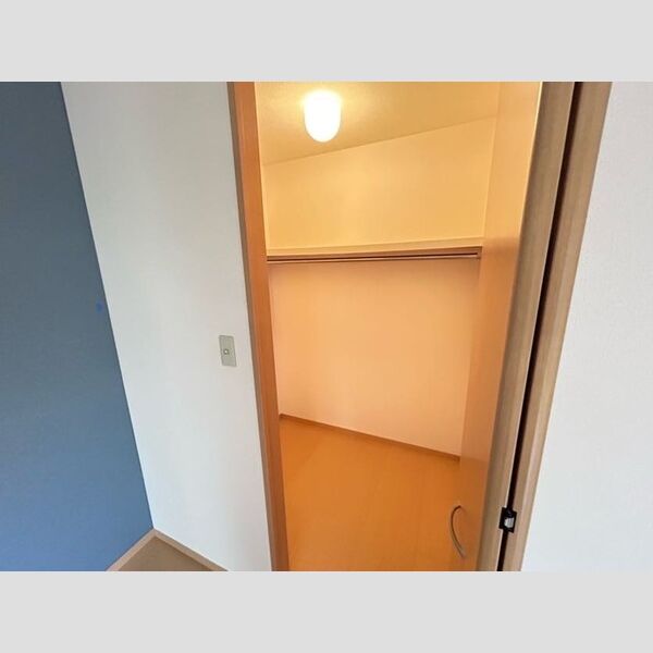 収納 (ウォークインクローゼット)