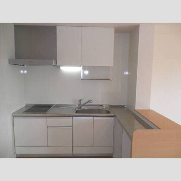 キッチン (202キッチン)