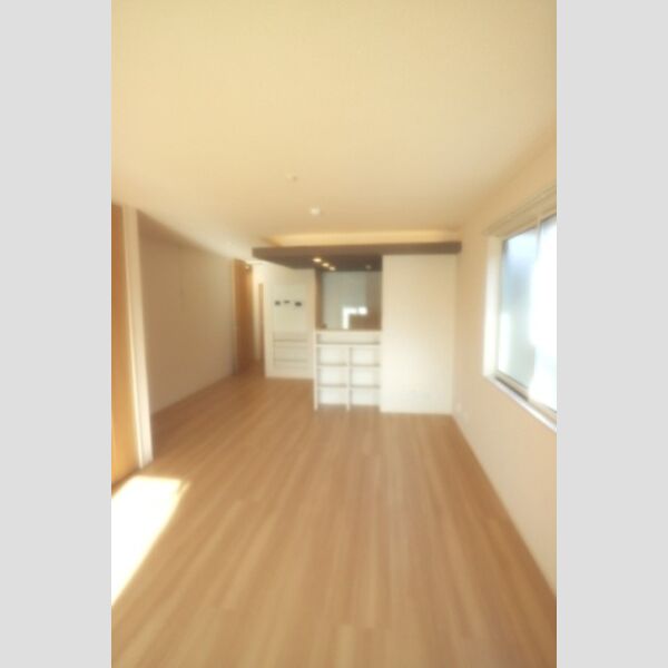 居室・リビング (LDK)