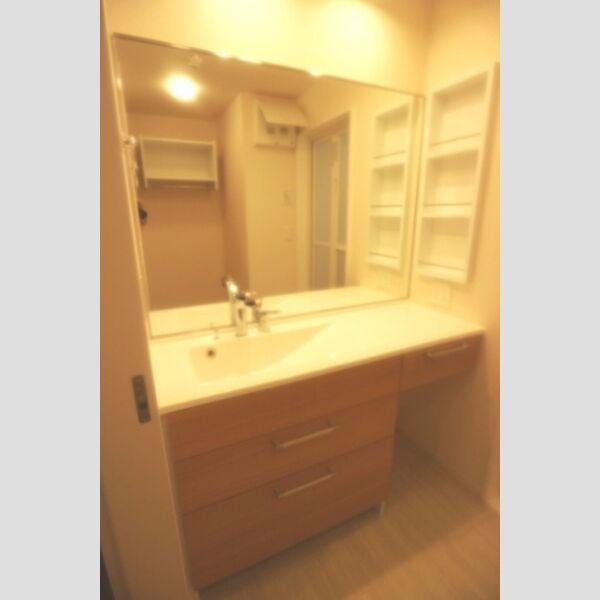 洗面所 (洗髪洗面化粧台)