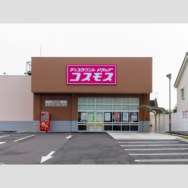 現地周辺 (コスモス)