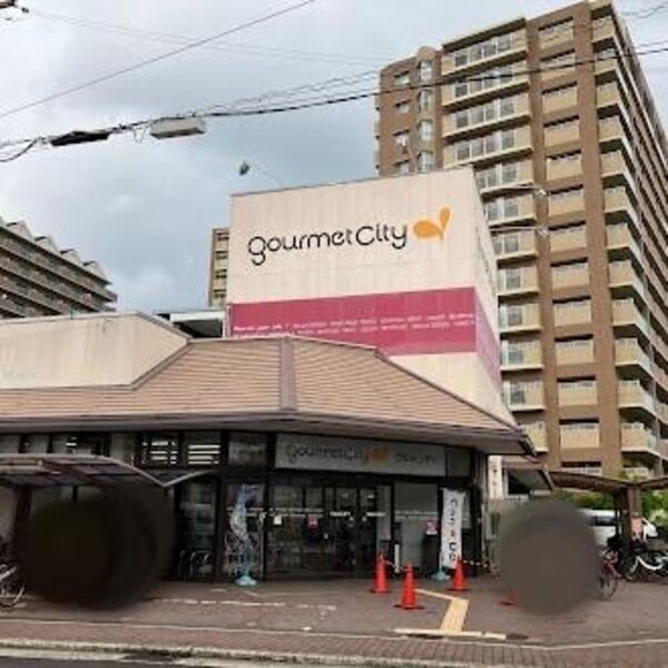 現地周辺 (グルメシティ八尾店(211m))