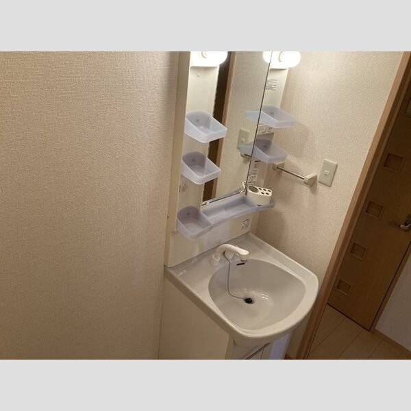 洗面所 (洗髪洗面化粧台)