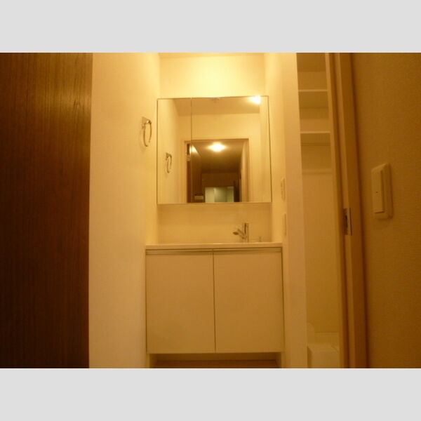 洗面所 (洗面所(洗髪洗面化粧台))