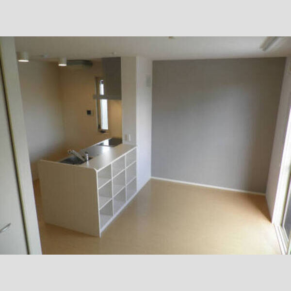 その他 (グランシャリオ天美302室内)