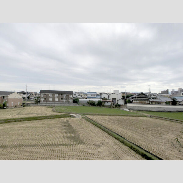 現地周辺 (眺望)