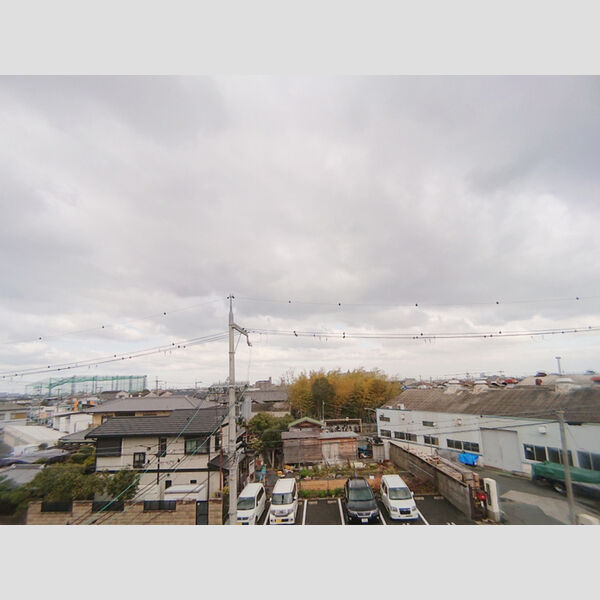 現地周辺 (眺望)