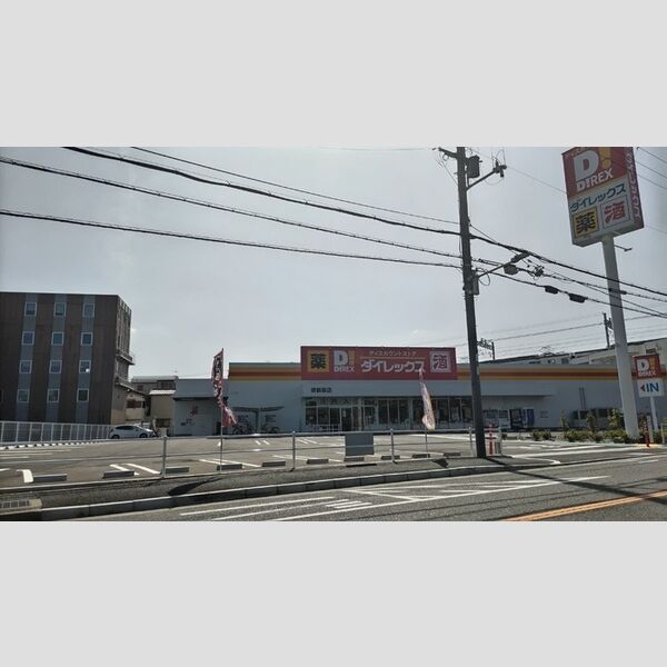 現地周辺 (ダイレックス堺新家店(ドラッグストア))