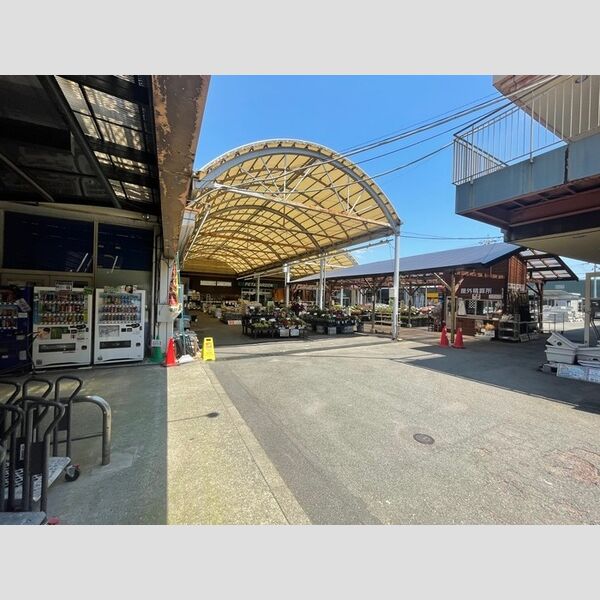 現地周辺 (DCMダイキ堺美原店)