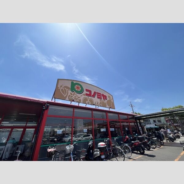 現地周辺 (コノミヤ狭山店)