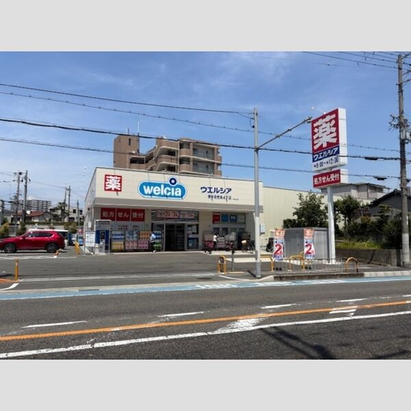 現地周辺 (ウエルシア中百舌鳥4丁店)