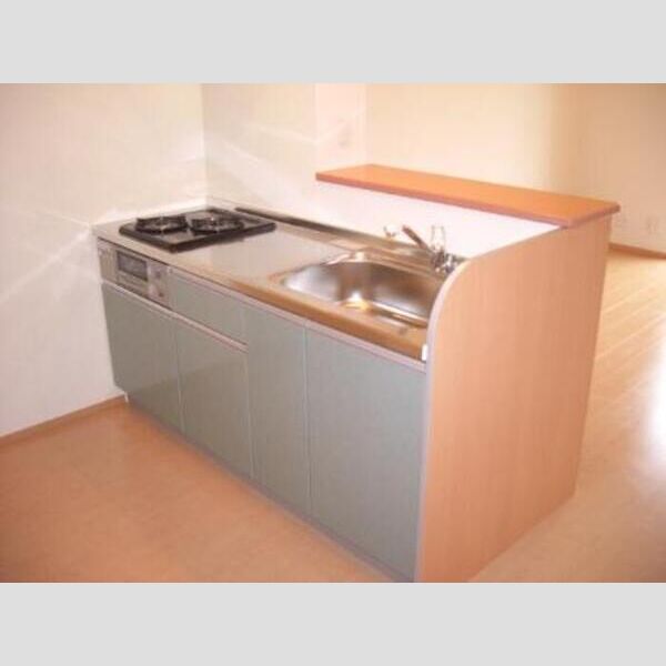 キッチン (ミニシステムキッチン(2口ガスコンロ)!)