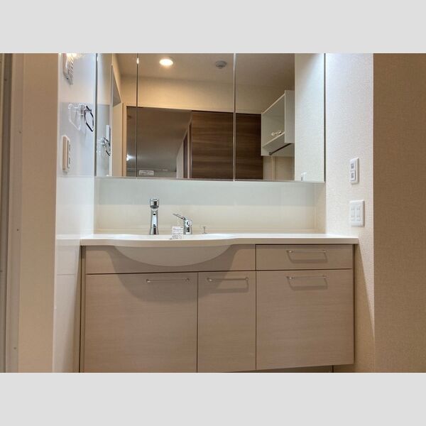 洗面所 (洗髪洗面化粧台)