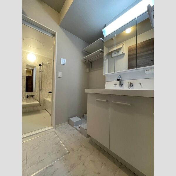 洗面所 (洗髪洗面化粧台)