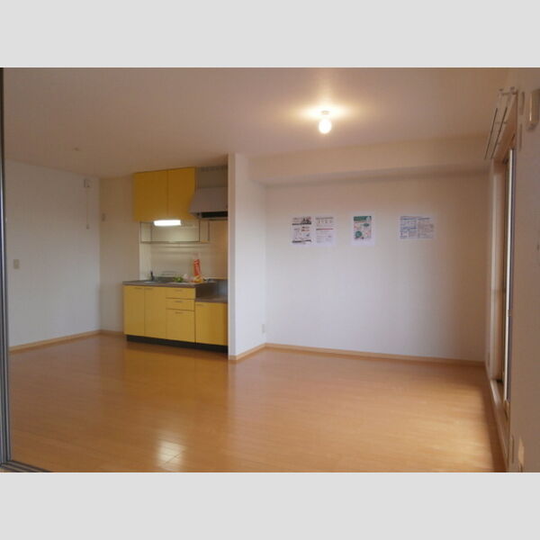 居室・リビング (12帖LDK)