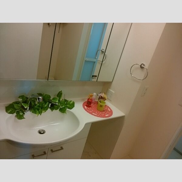 洗面所 (洗髪洗面化粧台)