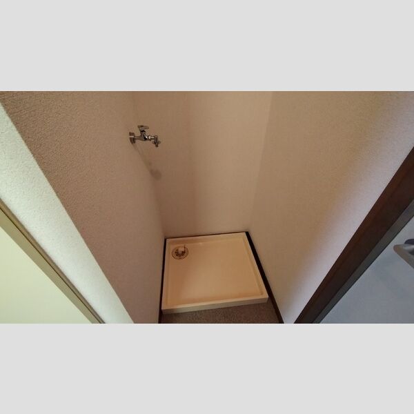 その他 (室内洗濯機置場)