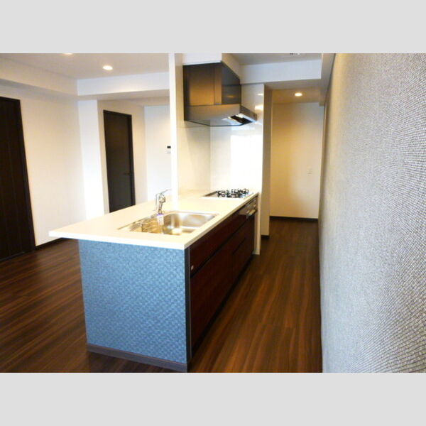 キッチン (対面カウンターキッチン)