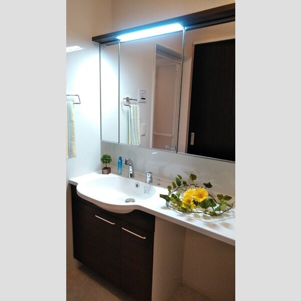 洗面所 (洗髪洗面化粧台)