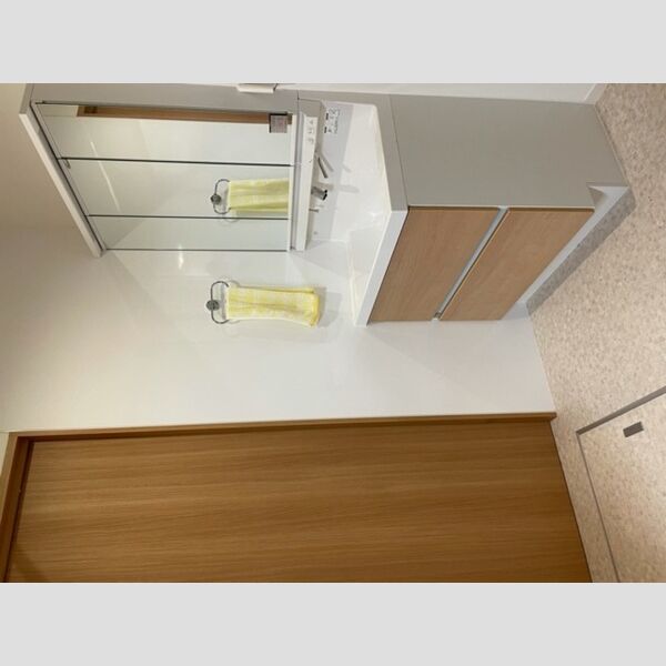 洗面所 (洗面所)