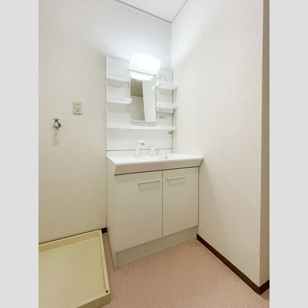 洗面所 (洗髪洗面化粧台)