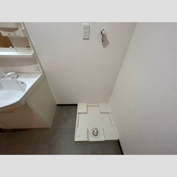 その他 (室内洗濯機置き場)