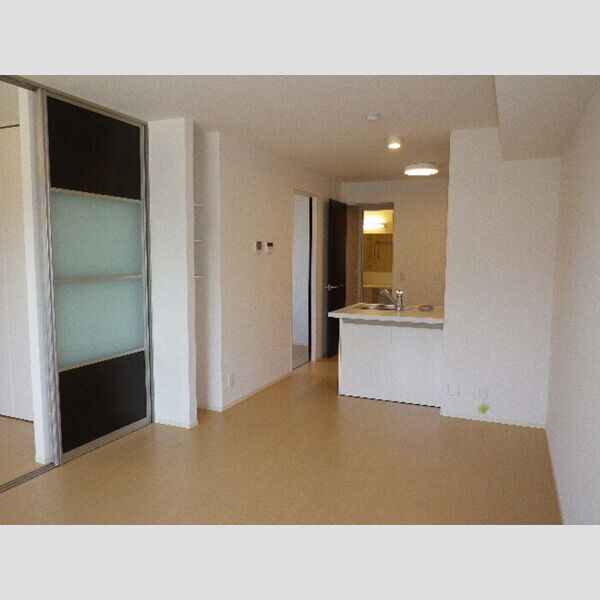 居室・リビング (13帖LDK)