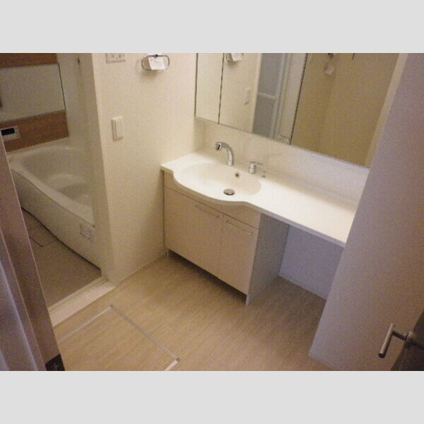 洗面所 (洗髪洗面化粧台)