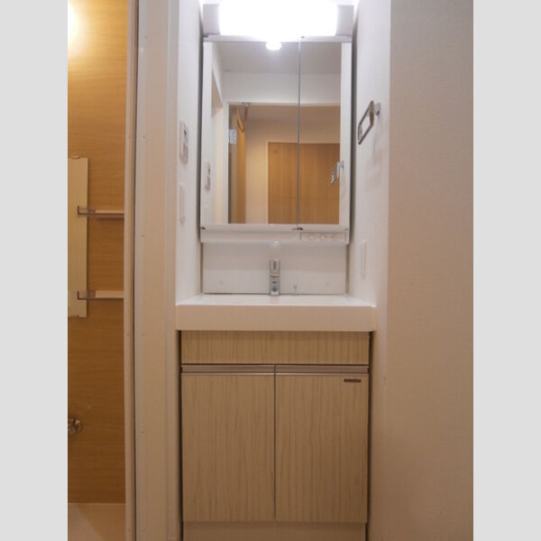 洗面所 (洗髪洗面化粧台)