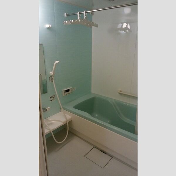 バス (バスルームの雰囲気♪)