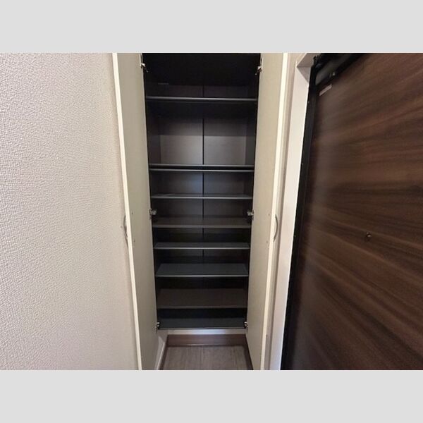 収納 (玄関収納)