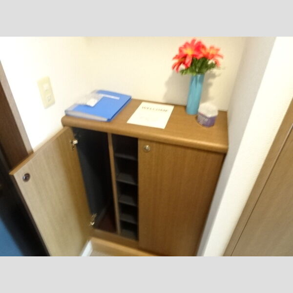 玄関 (シューズボックス)