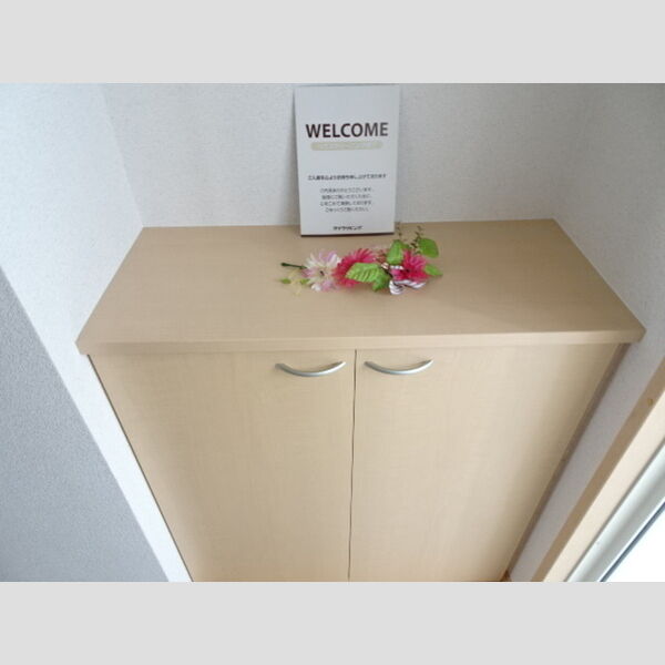 玄関 (シューズボックス)