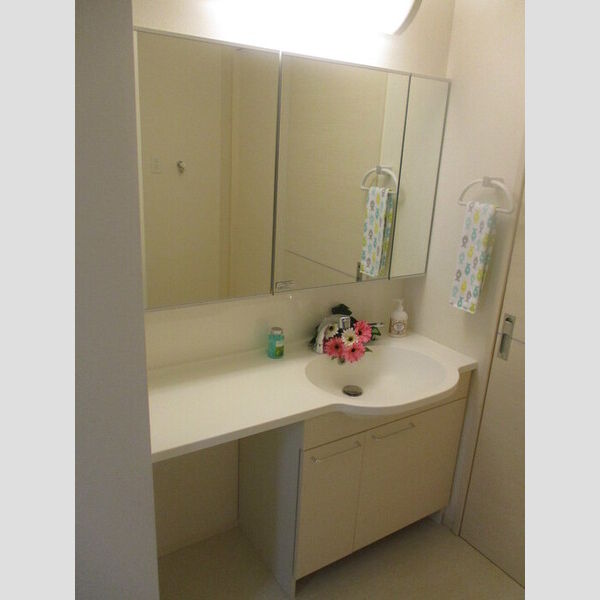 洗面所 (洗髪洗面化粧台)