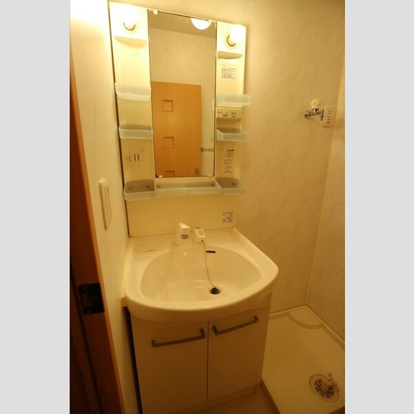 洗面所 (洗髪洗面化粧台)